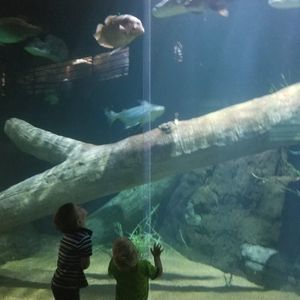 Meet your Posher, Kevin